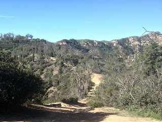 View west from Beacon Hill toward Upper Beacon Trail, Griffith Park, Los Angeles, February 15, 2016