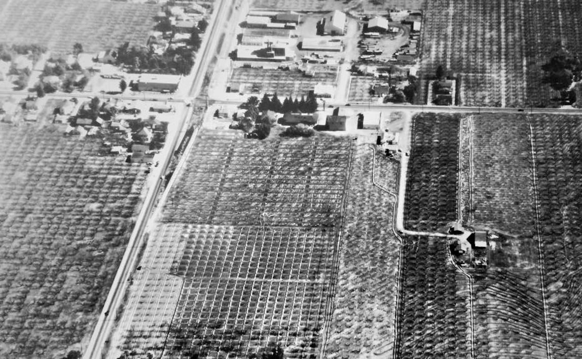 Forestdweller Cupertino Crossroads