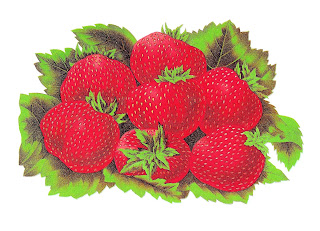 strawberry digital fruit download image