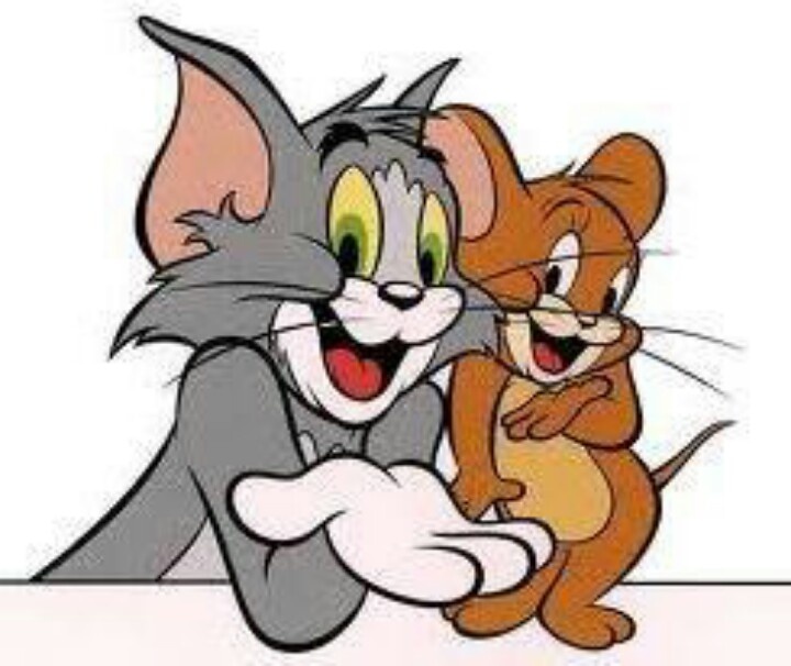 tom and jerry cartoon movie download