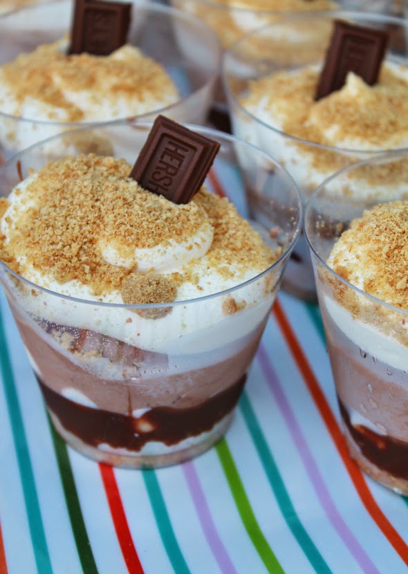 Frozen S'More Cups | WhatchaMakinNow.com
