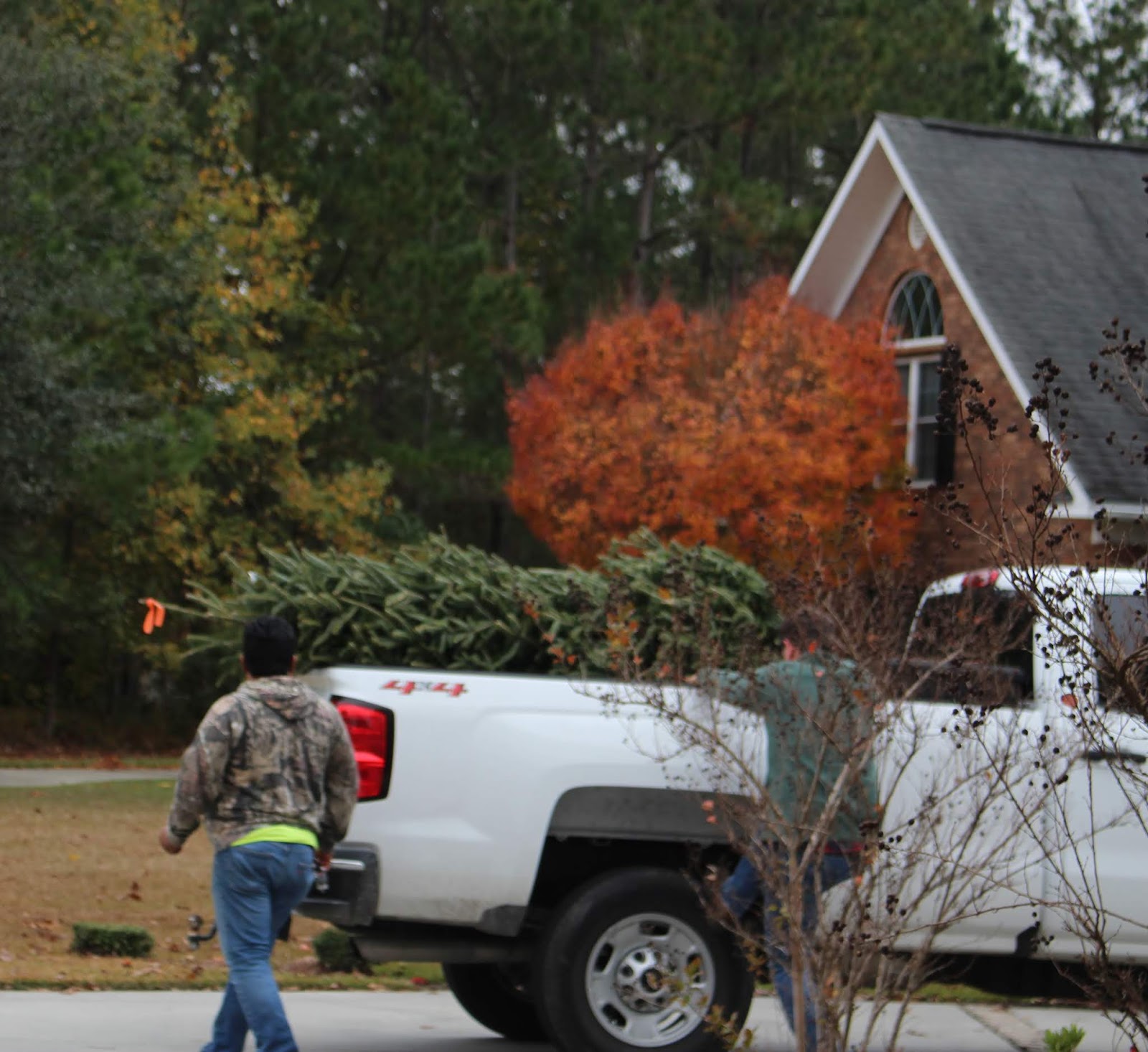 Koinonia tree delivered