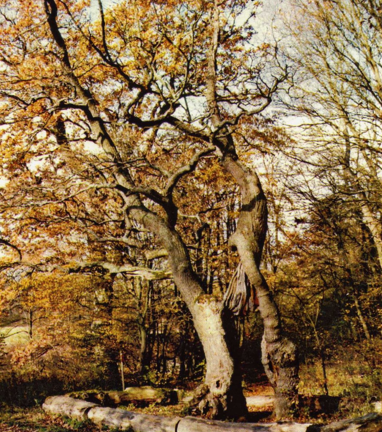 Gps Gesundheit Pflege Und Soziales