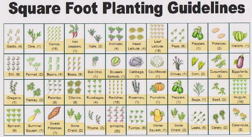 Square Foot Gardening Plans 28