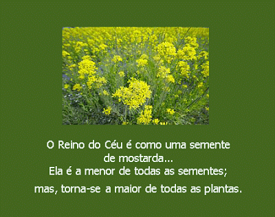 Resultado de imagem para Mt 13,31-35