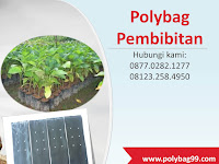 Isu Lingkungan Hidup dan Prospek Perkebunan Kelapa Sawit di Indonesia