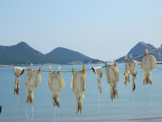 dried fish at the Seonyudo island