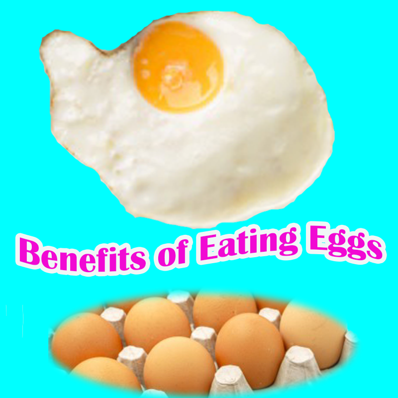 Health Tips The Health Benefits of Eggs
