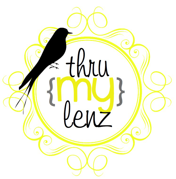 Thru My Lenz Photography Company