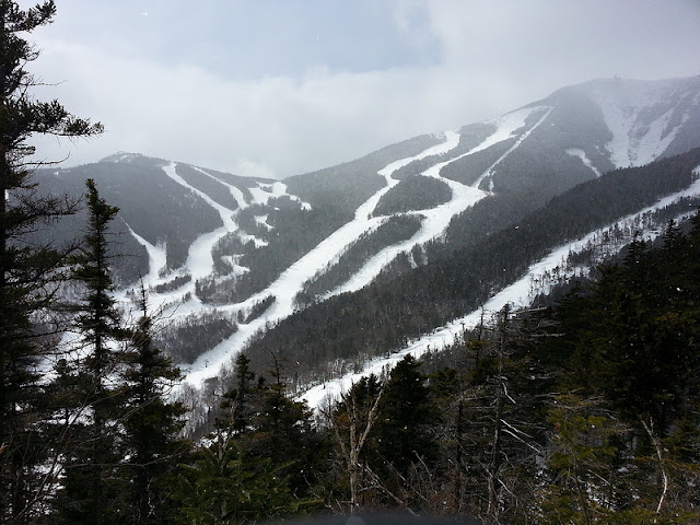 View of Whiteface Mountain ski trails