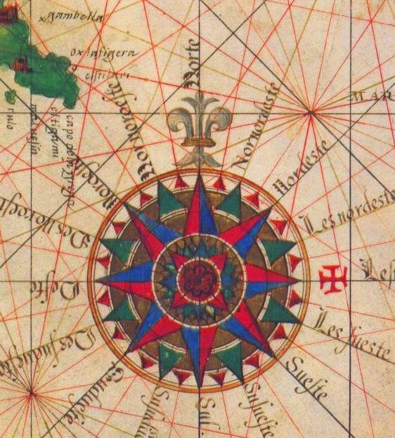 RED DE ESTRELLAS ESTRELLA DE LOS