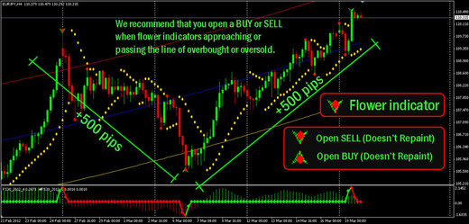 Signal 88 forex