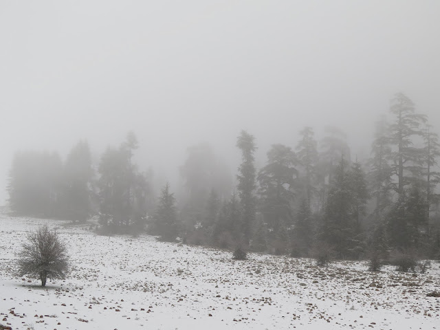 Nevada en Oum Er-Rbia
