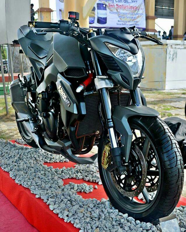 Modifikasi Kawasaki Ninja 250 Karbu 2010 Ala Streetfighter | Otofery