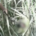 Decapitan a chamán en supuesta venganza en Chimbote
