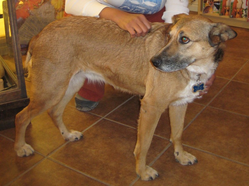 Nevada and Utah Best Friends Sanctuary (Kanab, Utah)