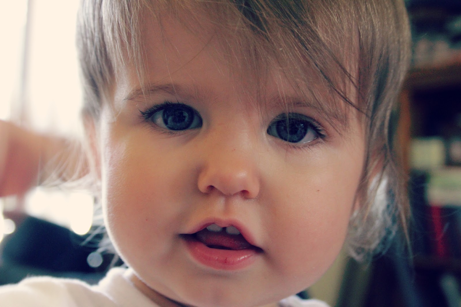 Wordless Wednesday 12 Months wordless-wednesday-12-months