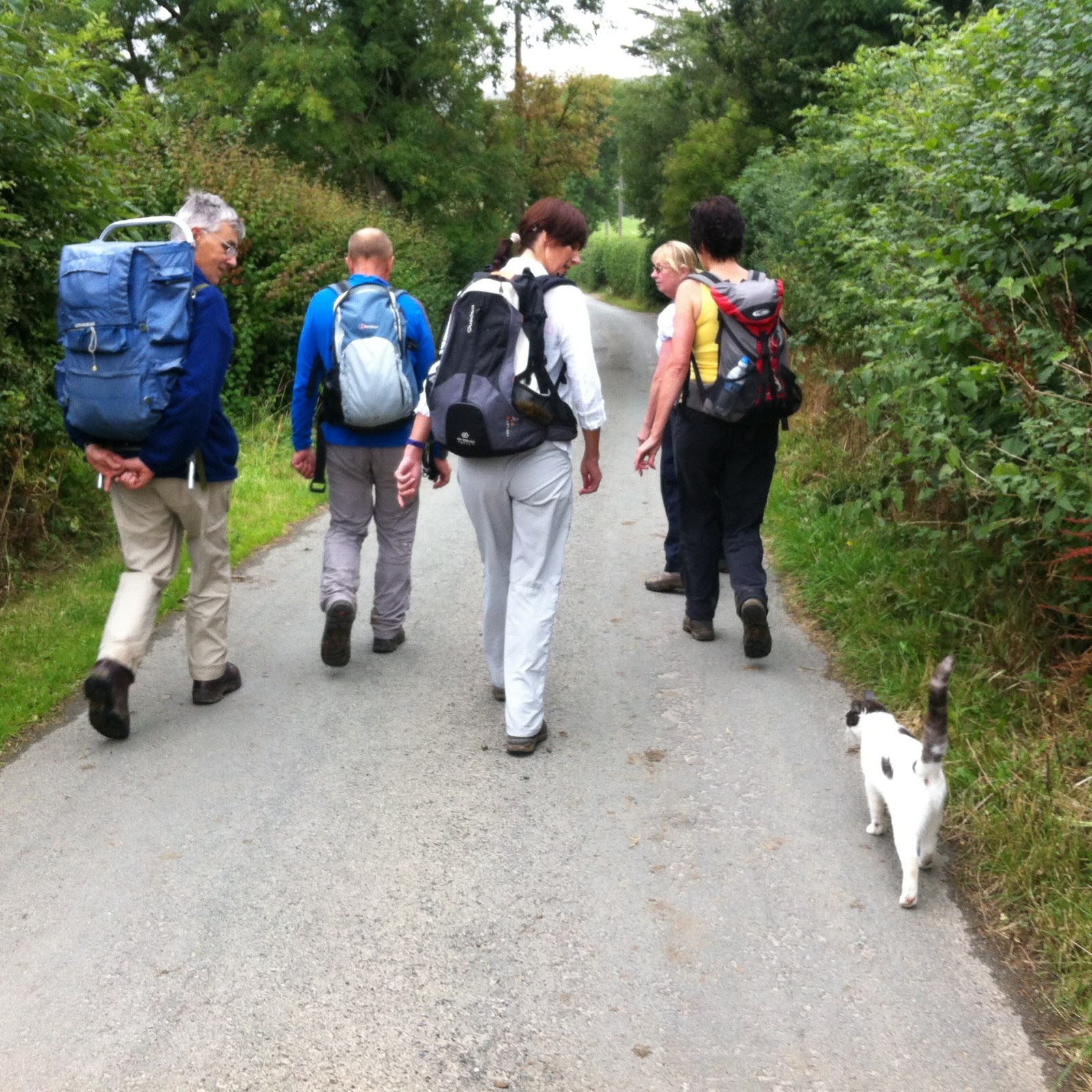 Swog Blog. (Stockport Walking Outdoor Group.) Walk Clwydian Hills 23