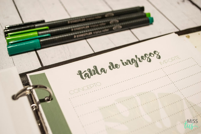 Planning para ingresos Planning para ingresos