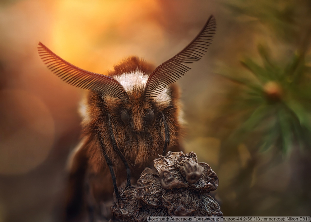 Гелиос-44 2/58