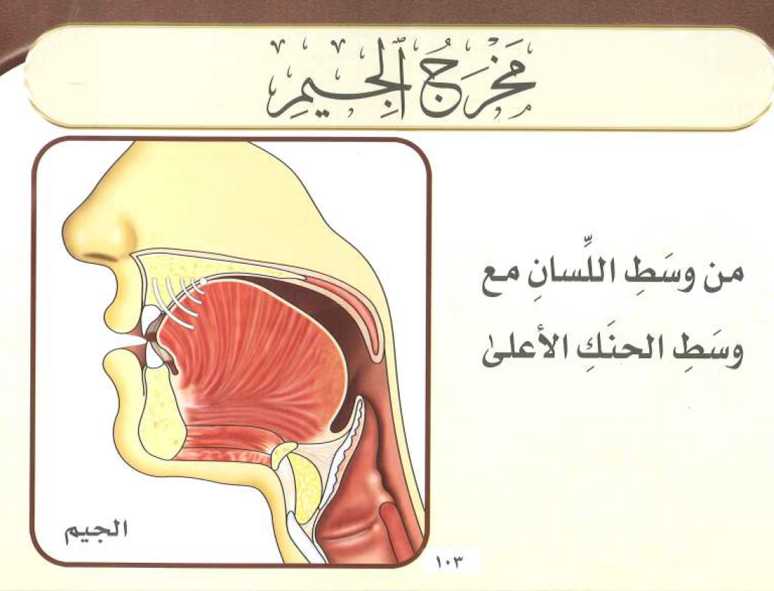 تعليم تجويد القرآن الكريم 13 مخرج وسط اللسان الجيم والشين والياء غير المدية