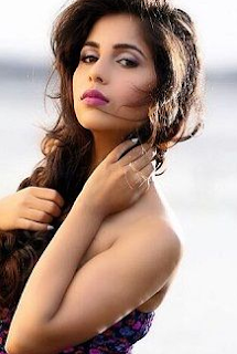 Vibha Anand age, hot, instagram, wiki, biography Vibha Anand age, hot, instagram, wiki, biography