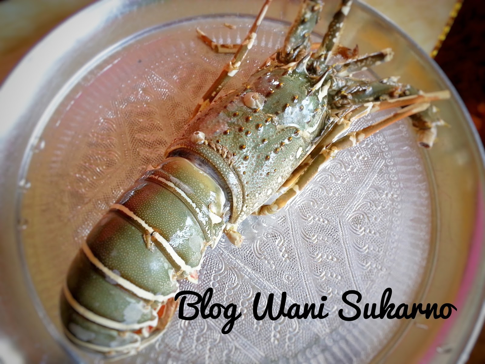 Resepi Lobster Goreng