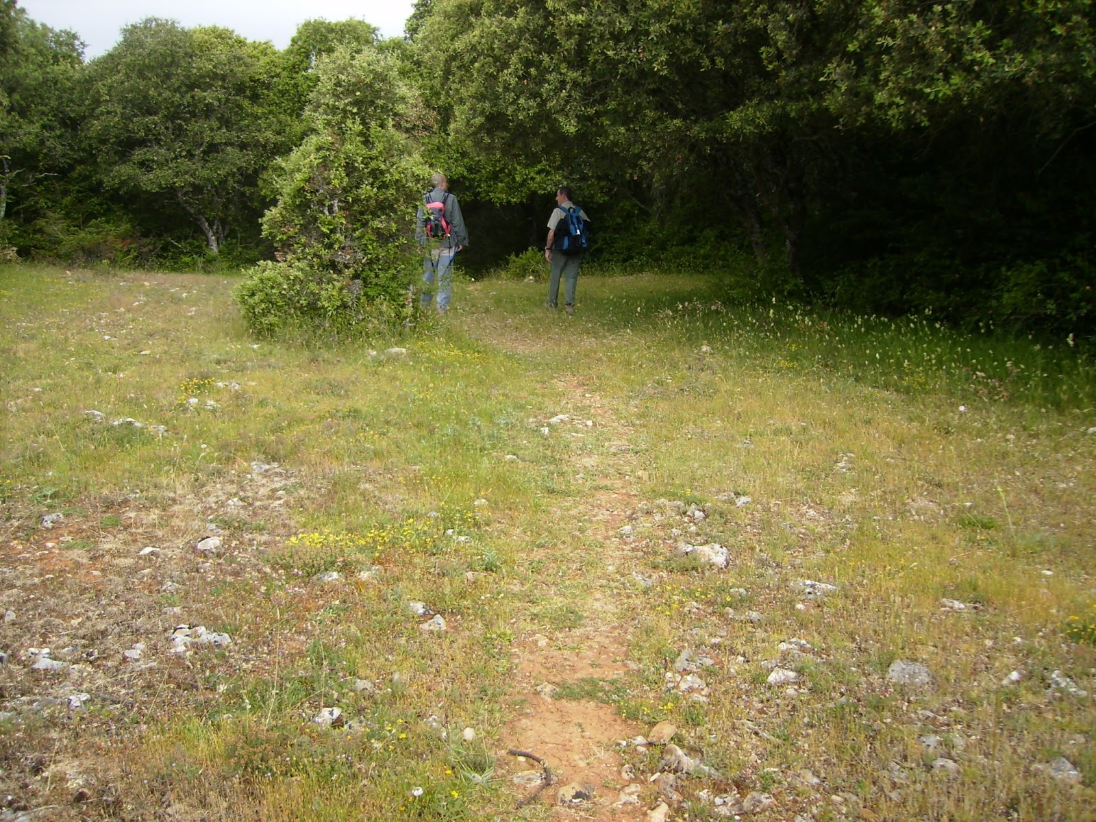 Montes de Navarra Ollacarizqueta desde el puerto de Echauri