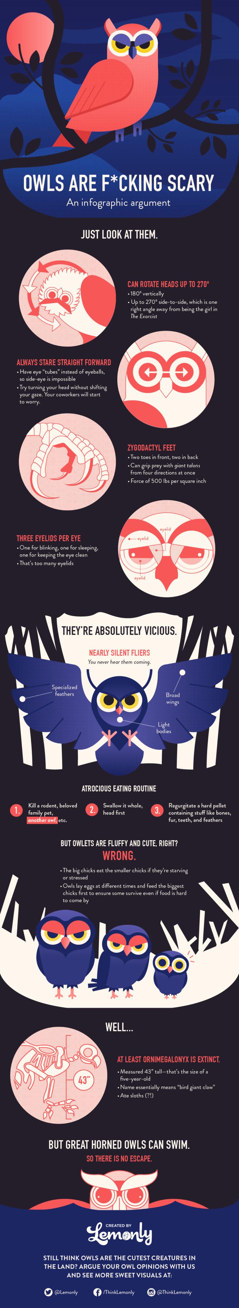 OWLS are scary an argument #infographic