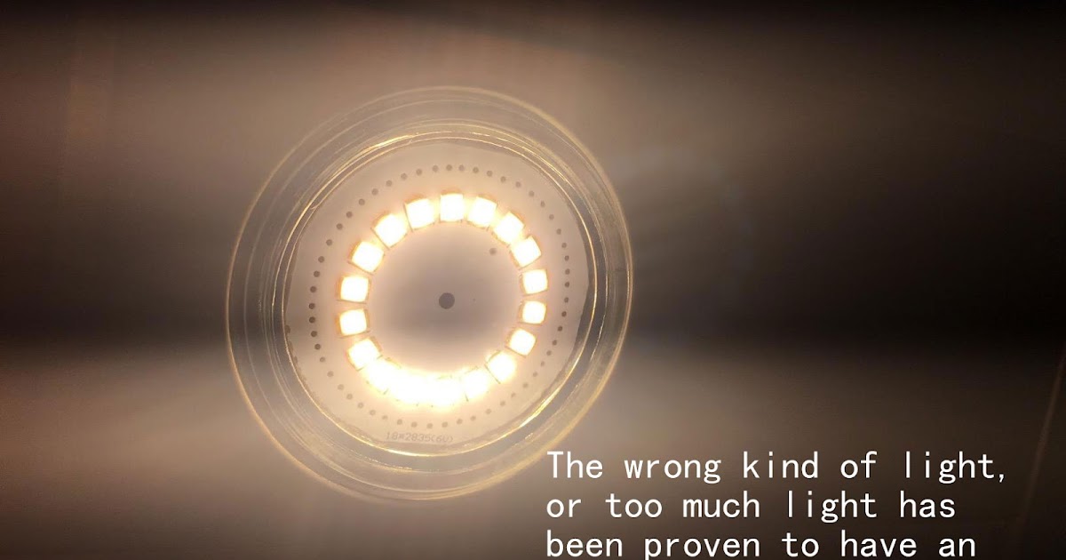 LED Light Glare occurs in the following three forms