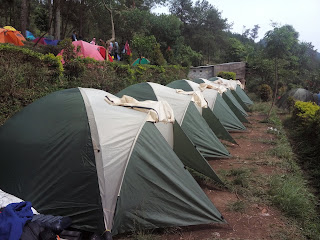sewa tenda di gunung merbabu