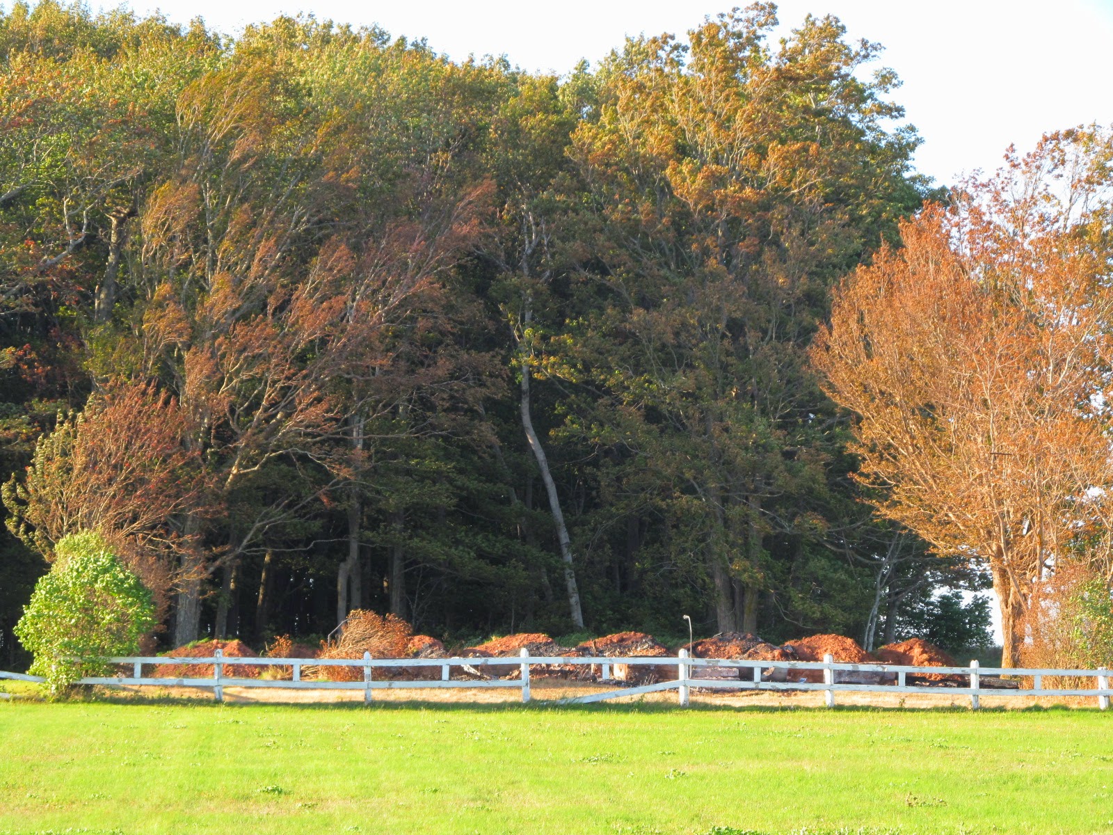 P.E.I. Heritage Buildings Cairn House, Blue Shank Road destroyed