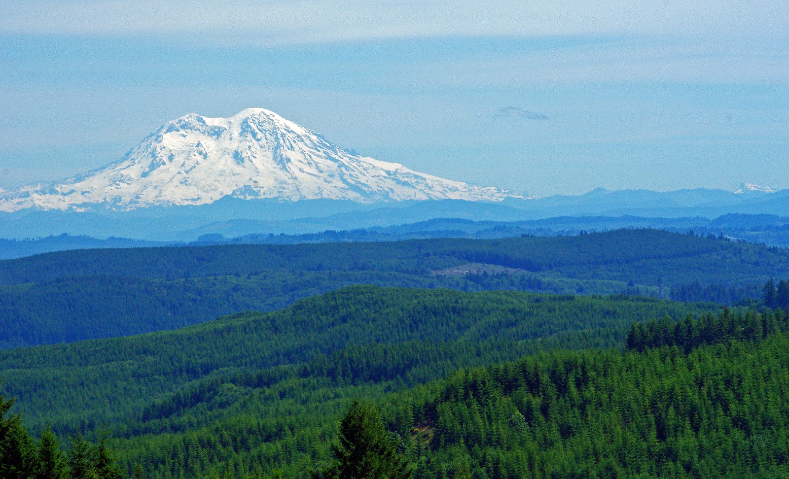 Jacq's Fibers Mt. Rainier