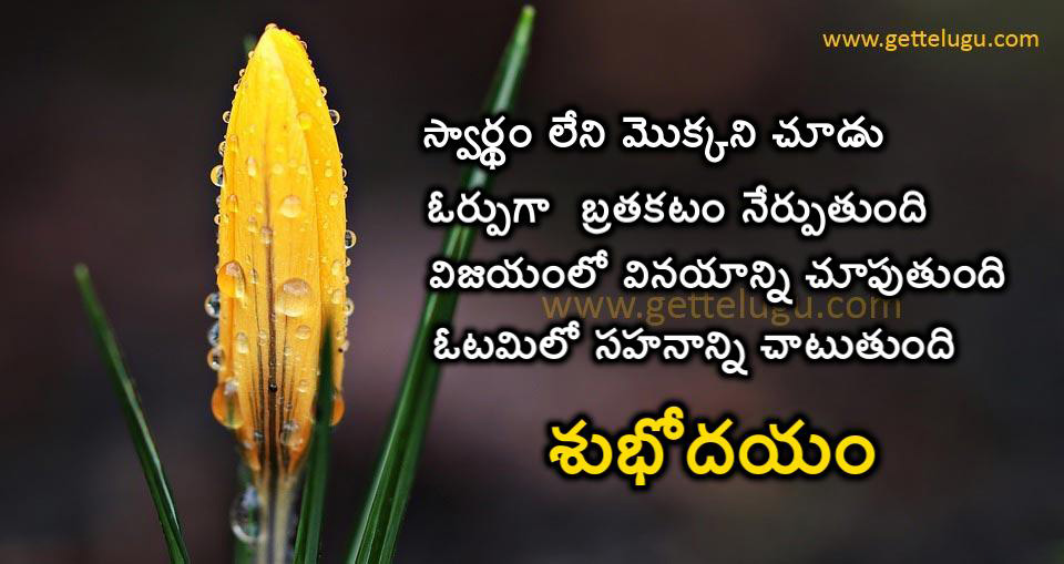 good morning images in telugu
