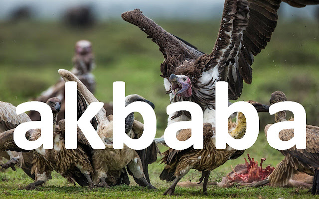 akbaba