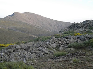 Gran Trail PEÑALARA: 110 km / 5110md+