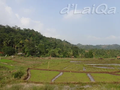 pemandangan di sebelah kiri jalan