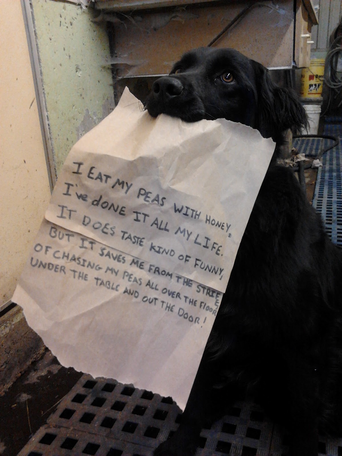 Exemplary Word Doggerel Membean Exemplary Word Doggerel Membean