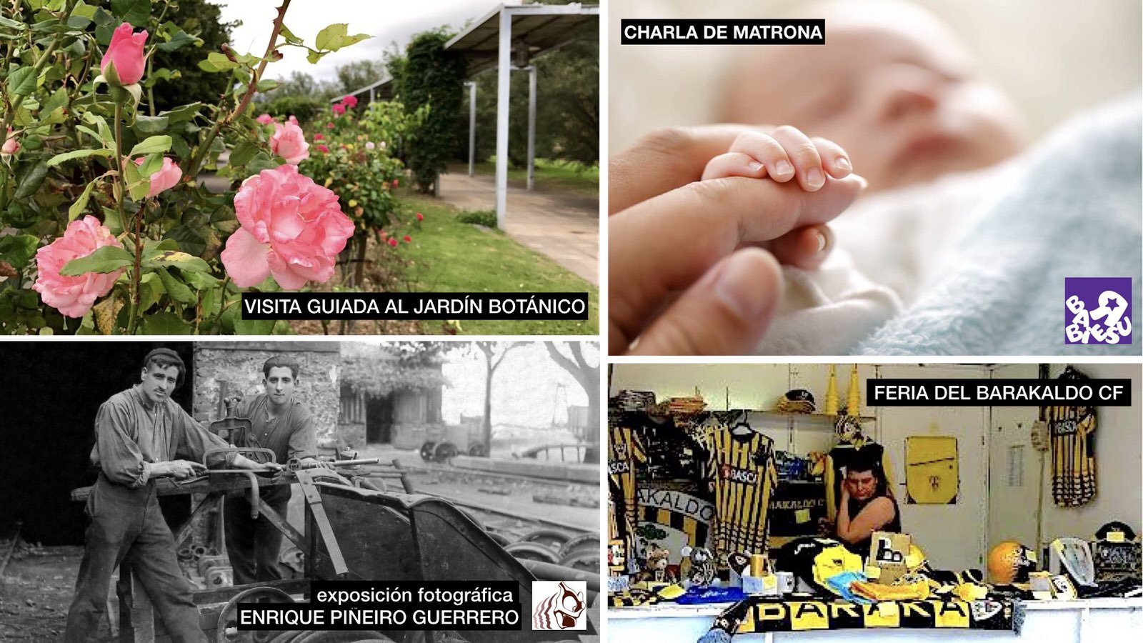 Agenda | Visita guiada al jardín botánico + charla de matrona + feria