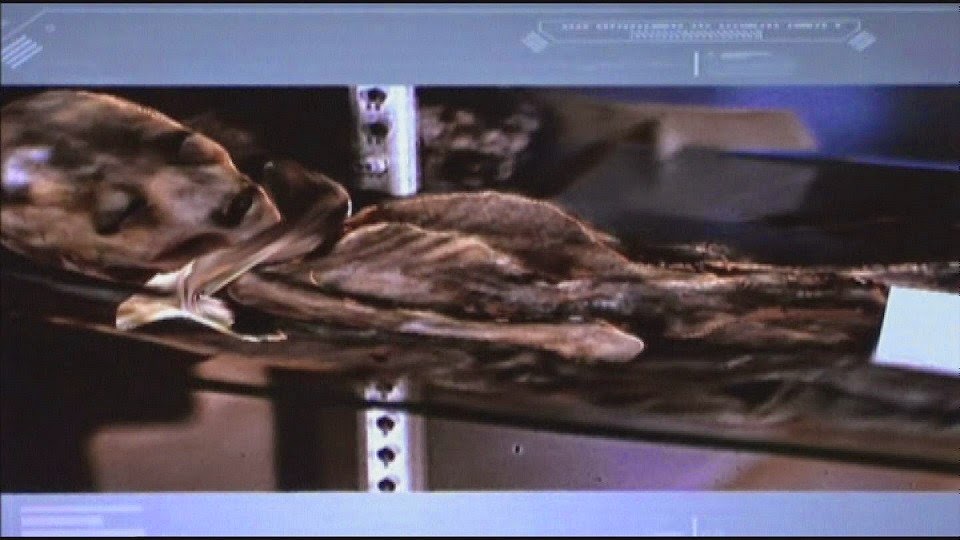 New Evidence in Roswell UFO Crash - The Facts & Images ~ The Xenologist