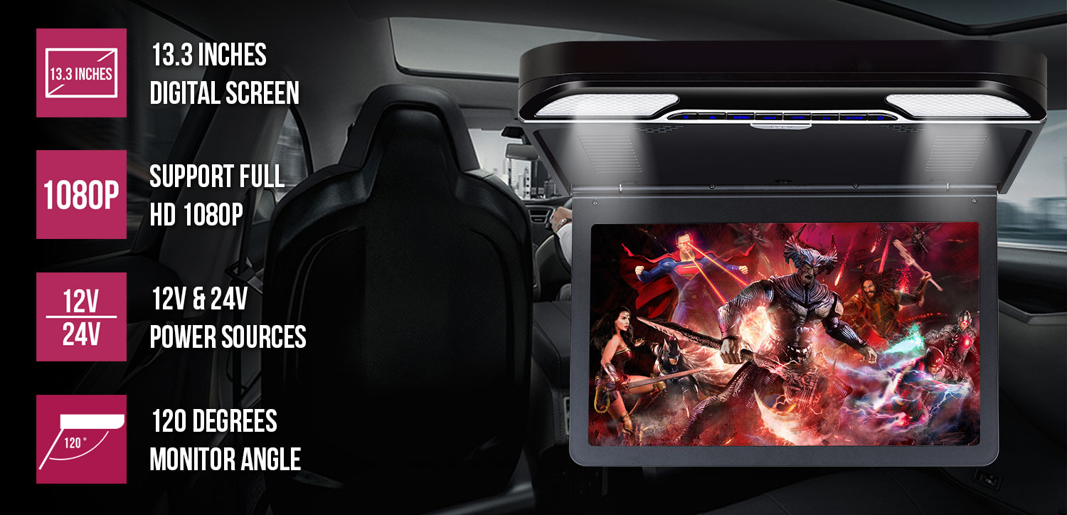 Roof Mount DVD player