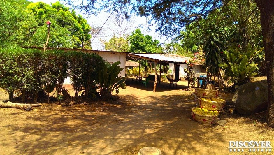 Nicaragua Farms for Sale Nicaragua Land for Sale Farm for sale in