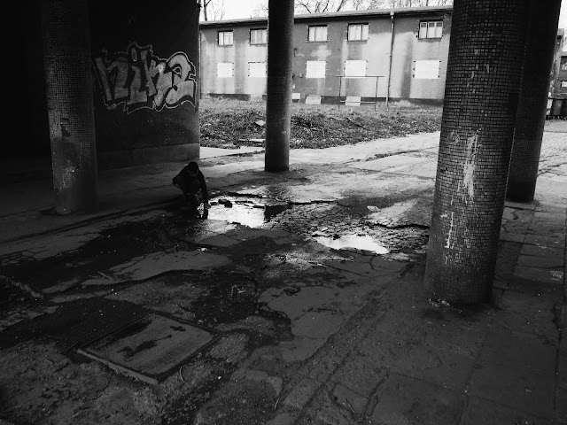 Ostrava Czech Republic