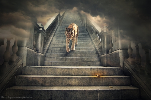 12-Coming-Down-Even-Liu-Surreal-Photo-Manipulations-and-the-Lantern-www-designstack-co
