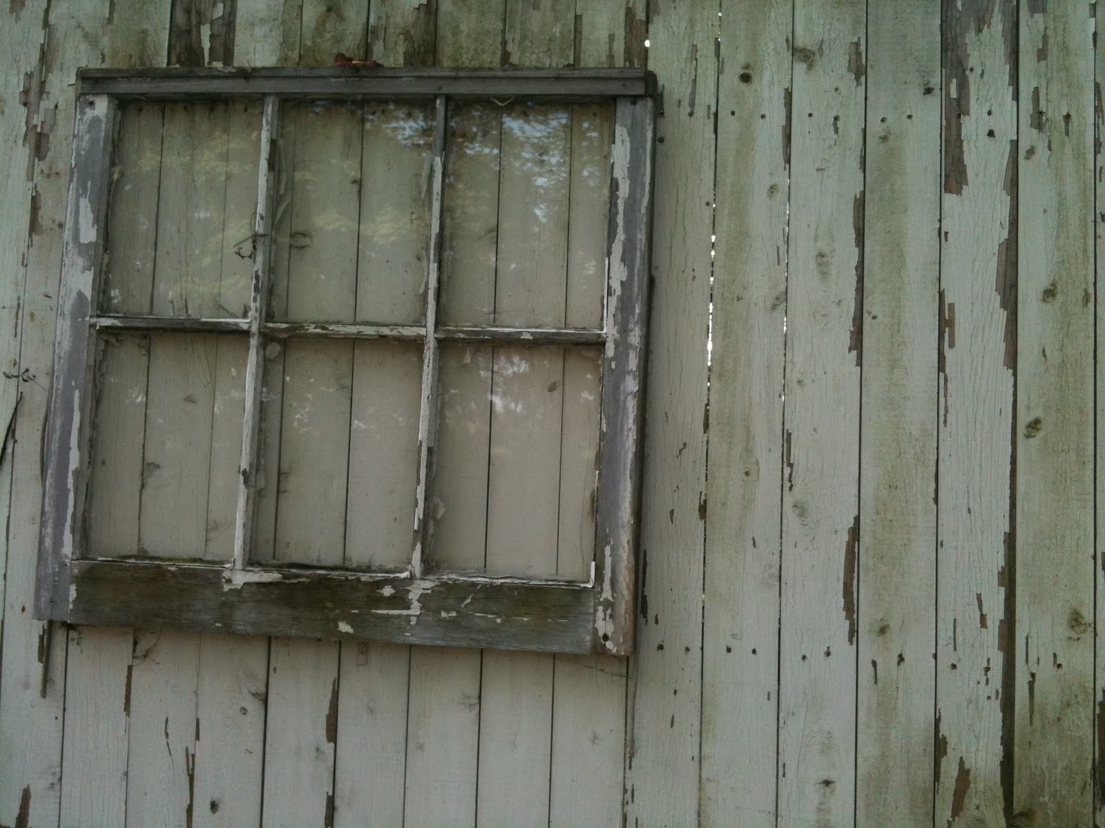 Where did the time go?: A window onto a fence