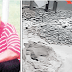 CCTV exposes Rivers police kill painter by roadside