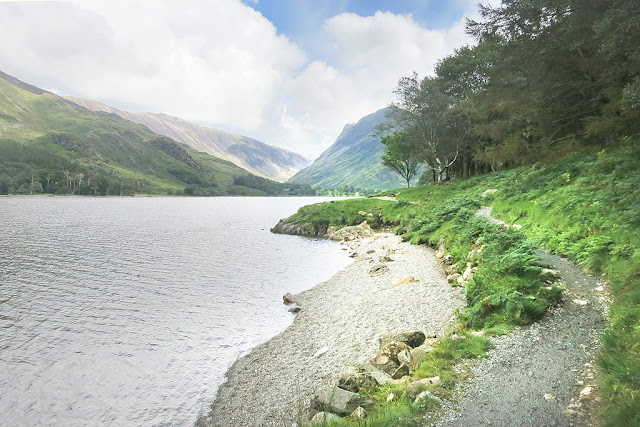 Buttermere, Fleetwith Pike, Tree, lake, Photo, Haystacks, Lake District walks, Alfred Wainwright, Best View