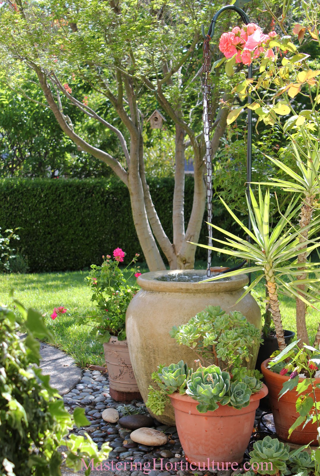 Mastering Horticulture Hort Art ChainGuidedWater Fountain