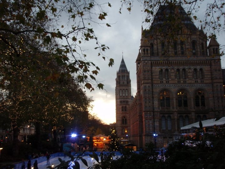 Nature ænigmatic April 2011