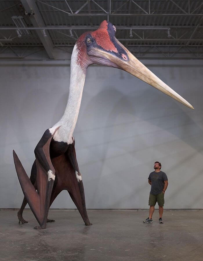 20 Things That Are Shockingly Bigger Than We Believed